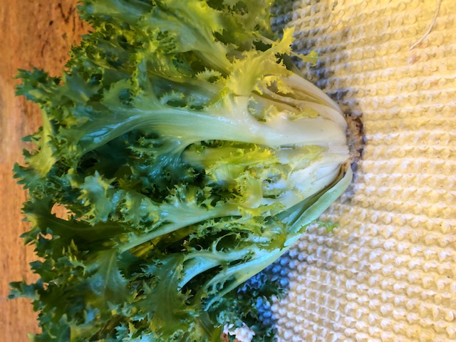 Escarole